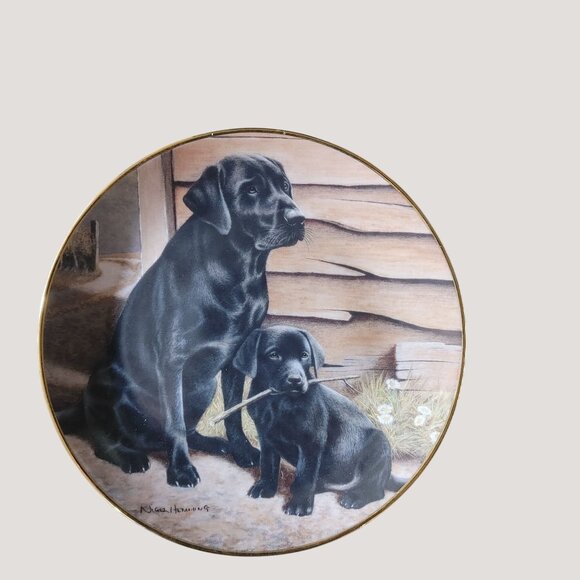 Labrador Retriever Collectible Franklin Mint Decorative Plates Set Of 5 - Picture 4 of 14